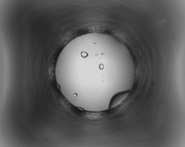 X0000086250671200704191844
