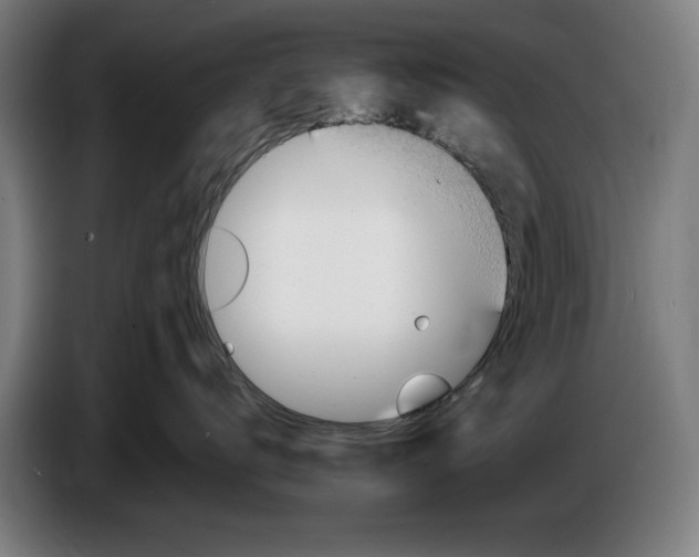 X0000086250672200704191844