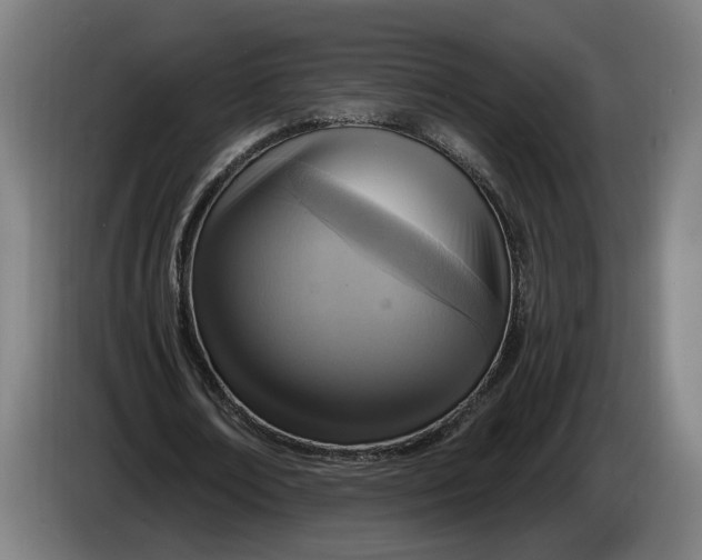 X0000086250674200704191843