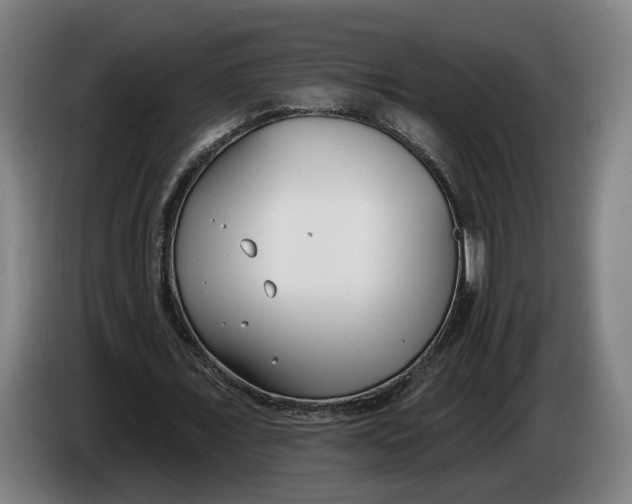 X0000086250675200704191843