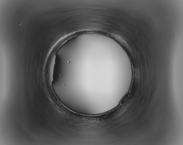 X0000086250676200704191843