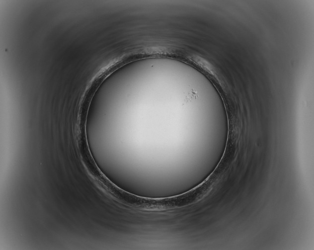 X0000086250677200704191843