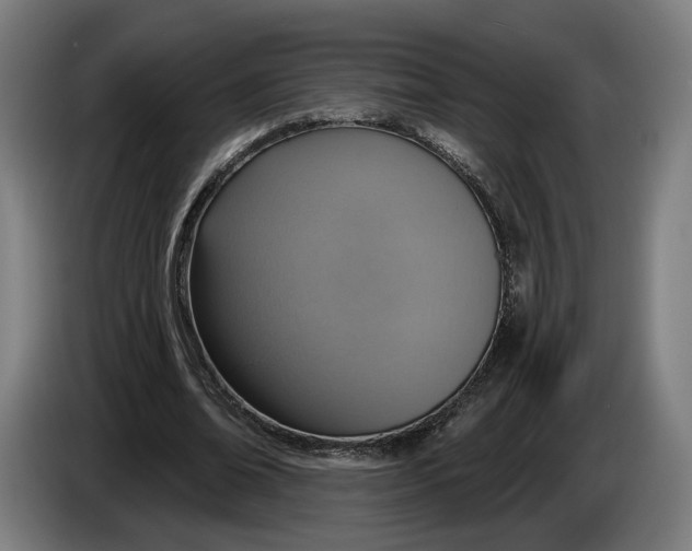 X0000086250678200704191843