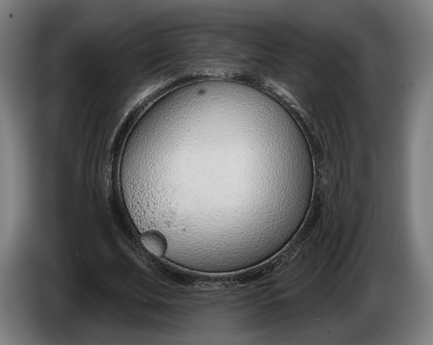 X0000086250679200704191843
