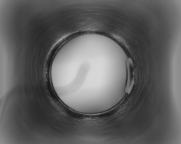 X0000086250680200704191843