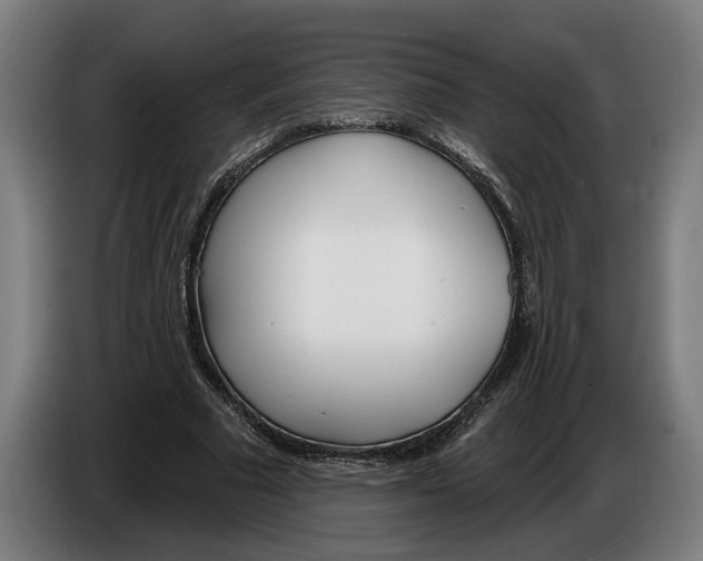 X0000086250681200704191843