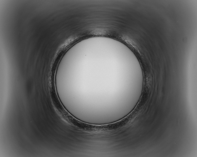 X0000086250682200704191843