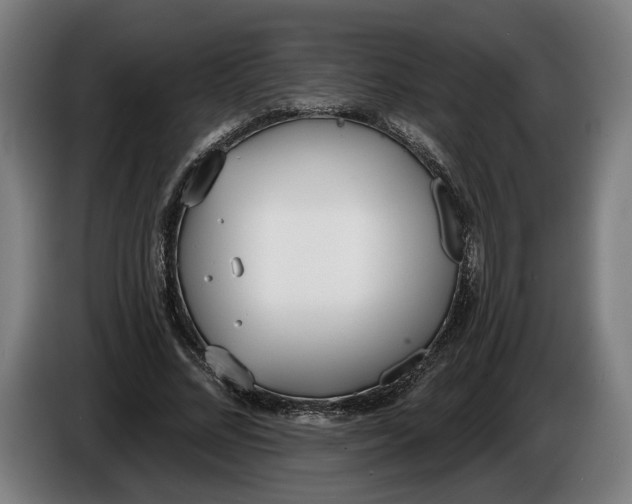 X0000086250684200704191843