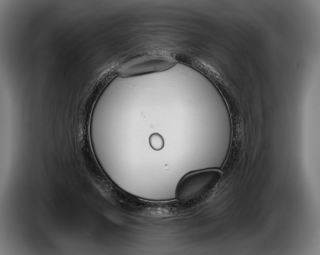 X0000086250687200704191843