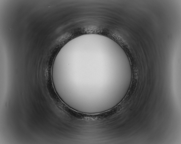 X0000086250690200704191843