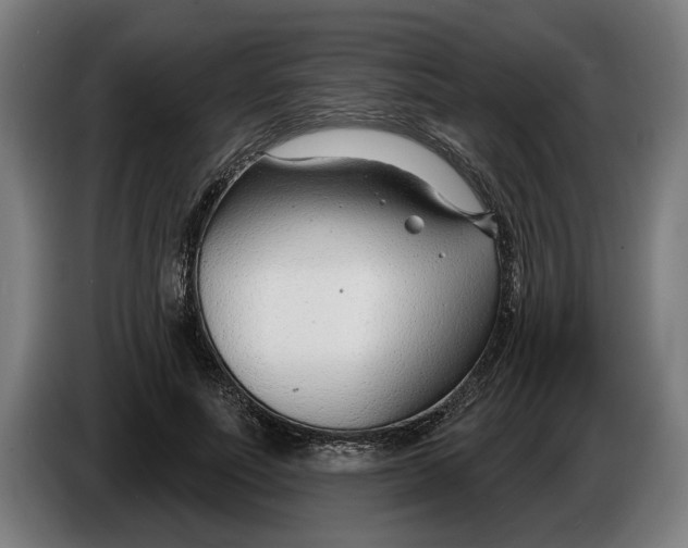 X0000086250691200704191843