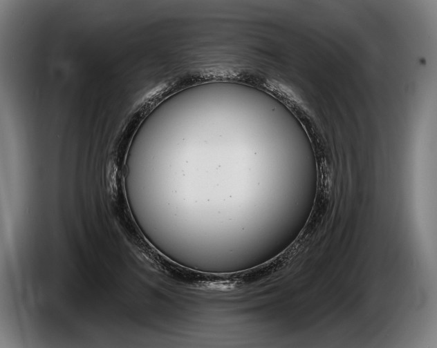 X0000086250692200704191843