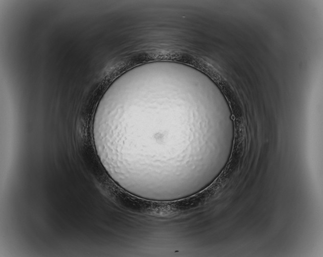 X0000086250695200704191843