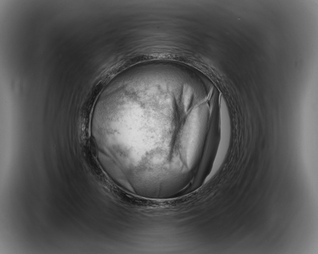 X0000086250696200704191843