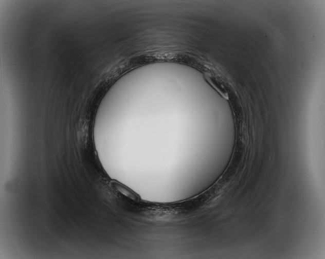 X0000086250697200704191843