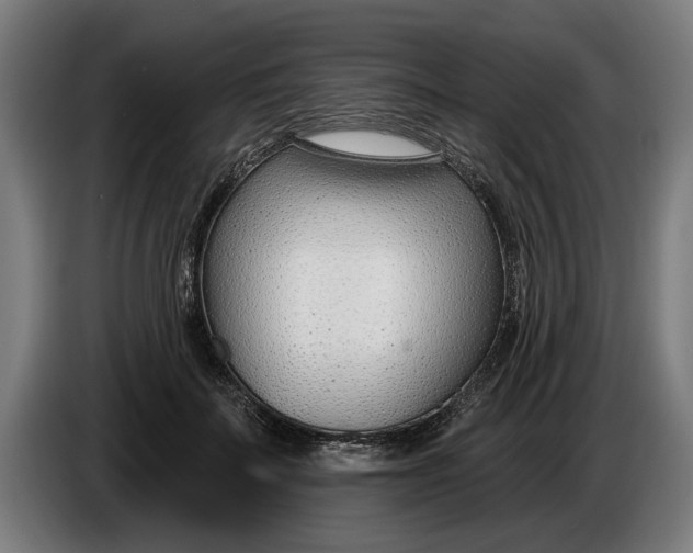 X0000086250699200704191843