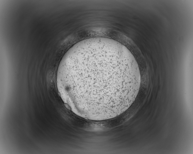 X0000086250701200704191843
