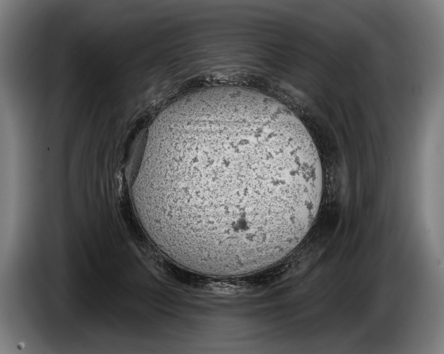 X0000086250703200704191843