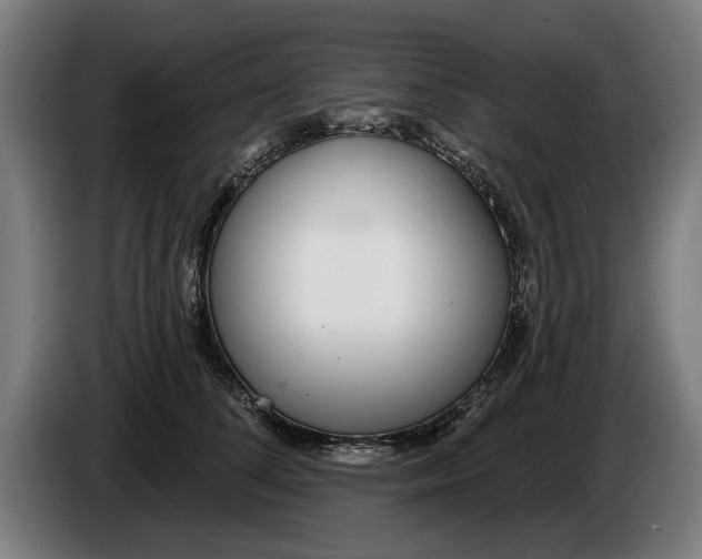 X0000086250708200704191842