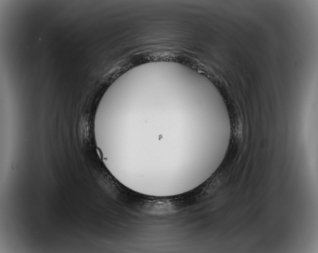 X0000086250715200704191842