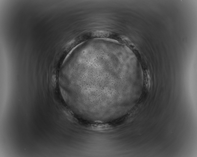 X0000086250716200704191842
