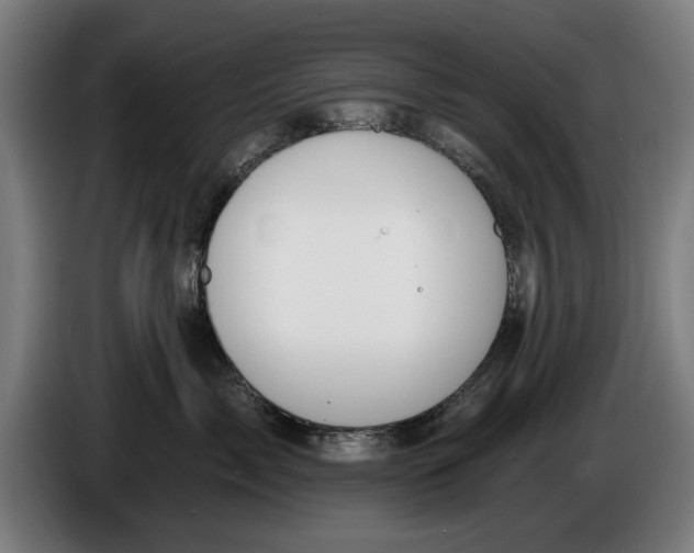X0000086250717200704191842