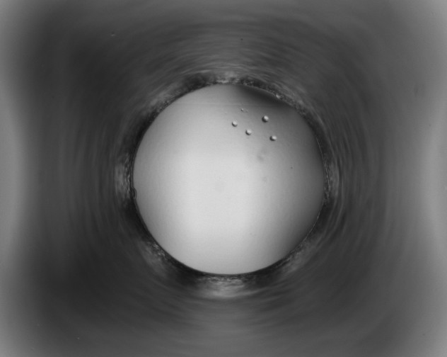 X0000086250719200704191842