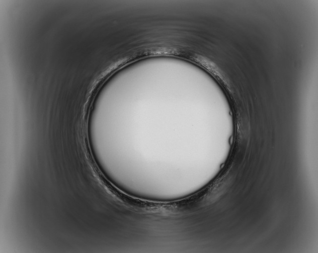 X0000086250721200704191842