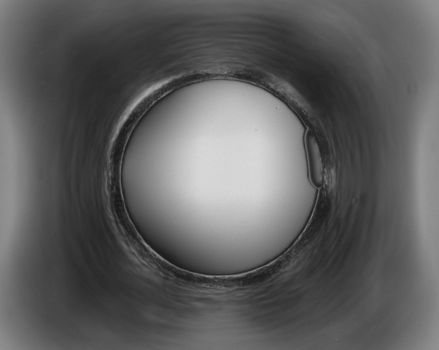 X0000086250724200704191842