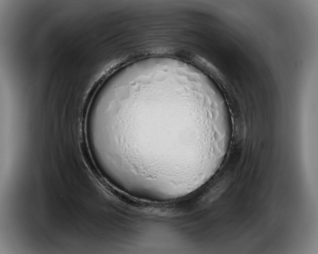 X0000086250725200704191842