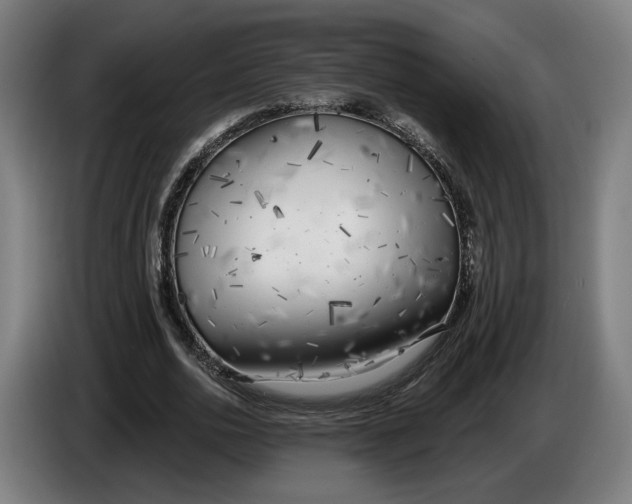 X0000086250726200704191842