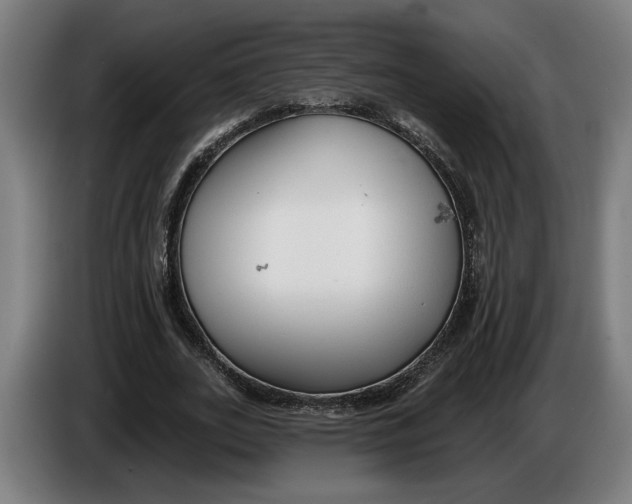 X0000086250727200704191842