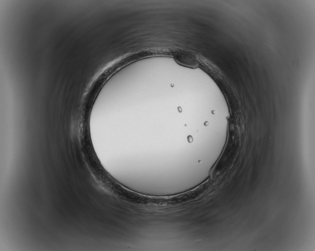 X0000086250728200704191842