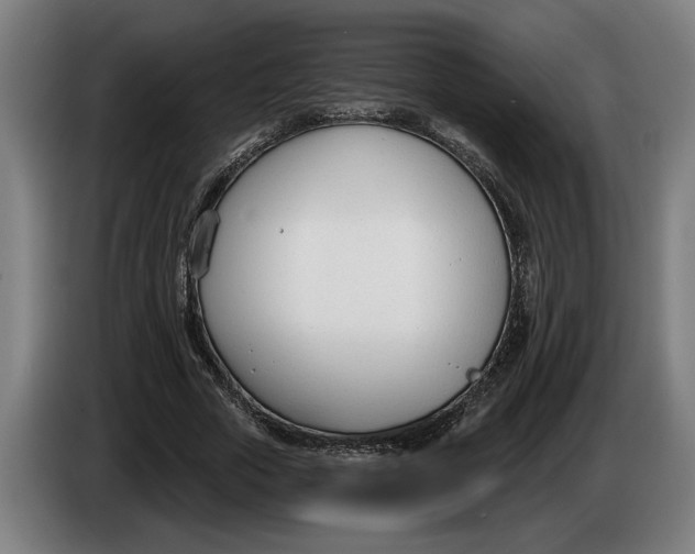 X0000086250729200704191842