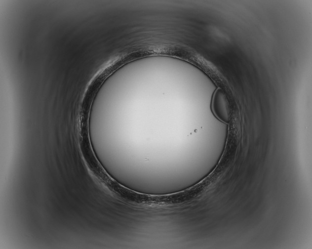 X0000086250730200704191842