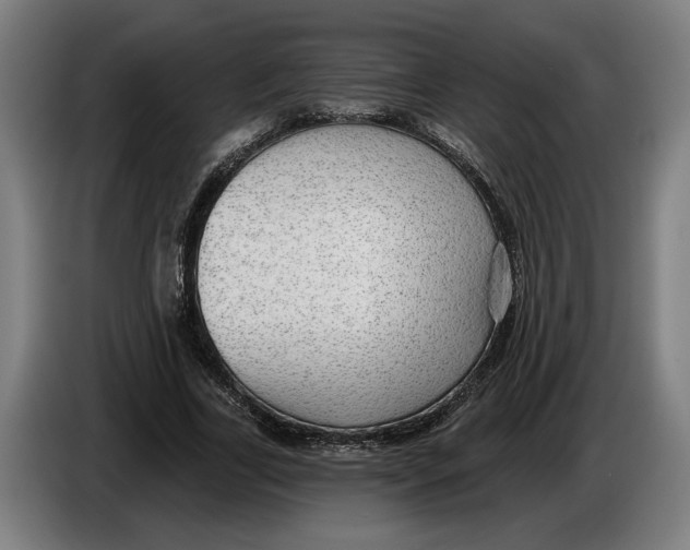 X0000086250731200704191842
