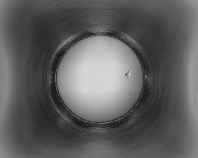 X0000086250732200704191842