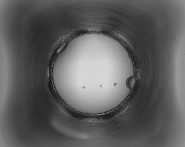 X0000086250733200704191842