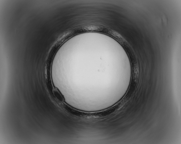 X0000086250734200704191842