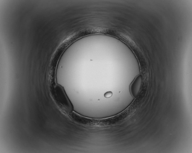 X0000086250736200704191842