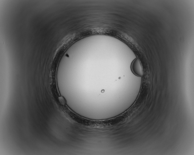 X0000086250738200704191842