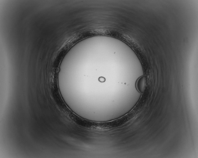X0000086250739200704191842