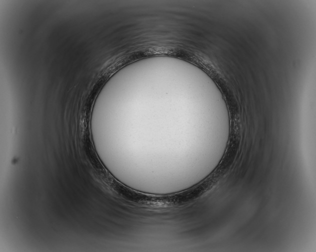 X0000086250741200704191842