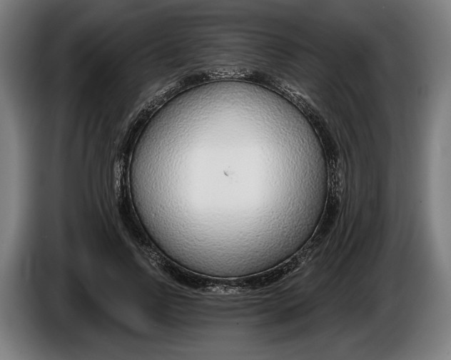 X0000086250742200704191842