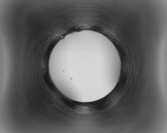 X0000086250743200704191842