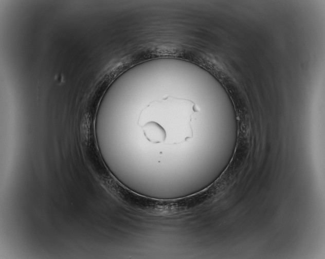 X0000086250744200704191842