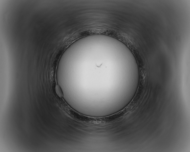 X0000086250745200704191842