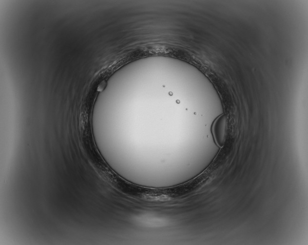 X0000086250747200704191842
