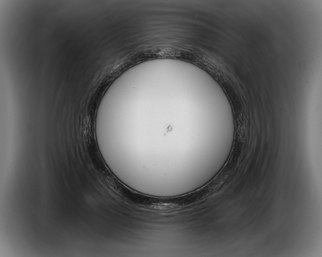 X0000086250748200704191842