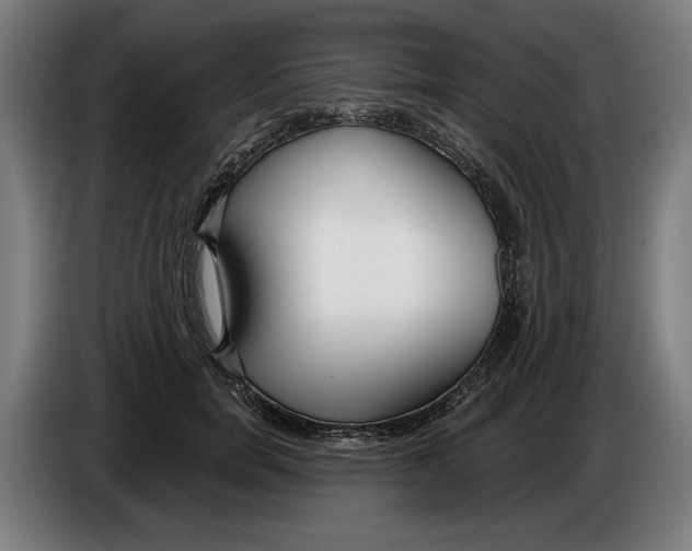 X0000086250750200704191842